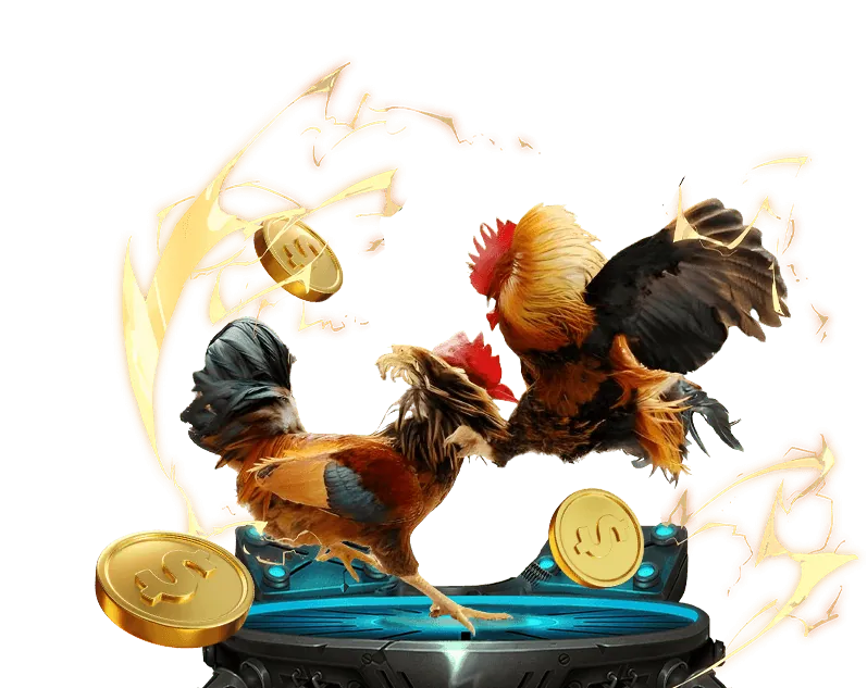 Hỗ trợ trò chuyện trực tuyến 24/7